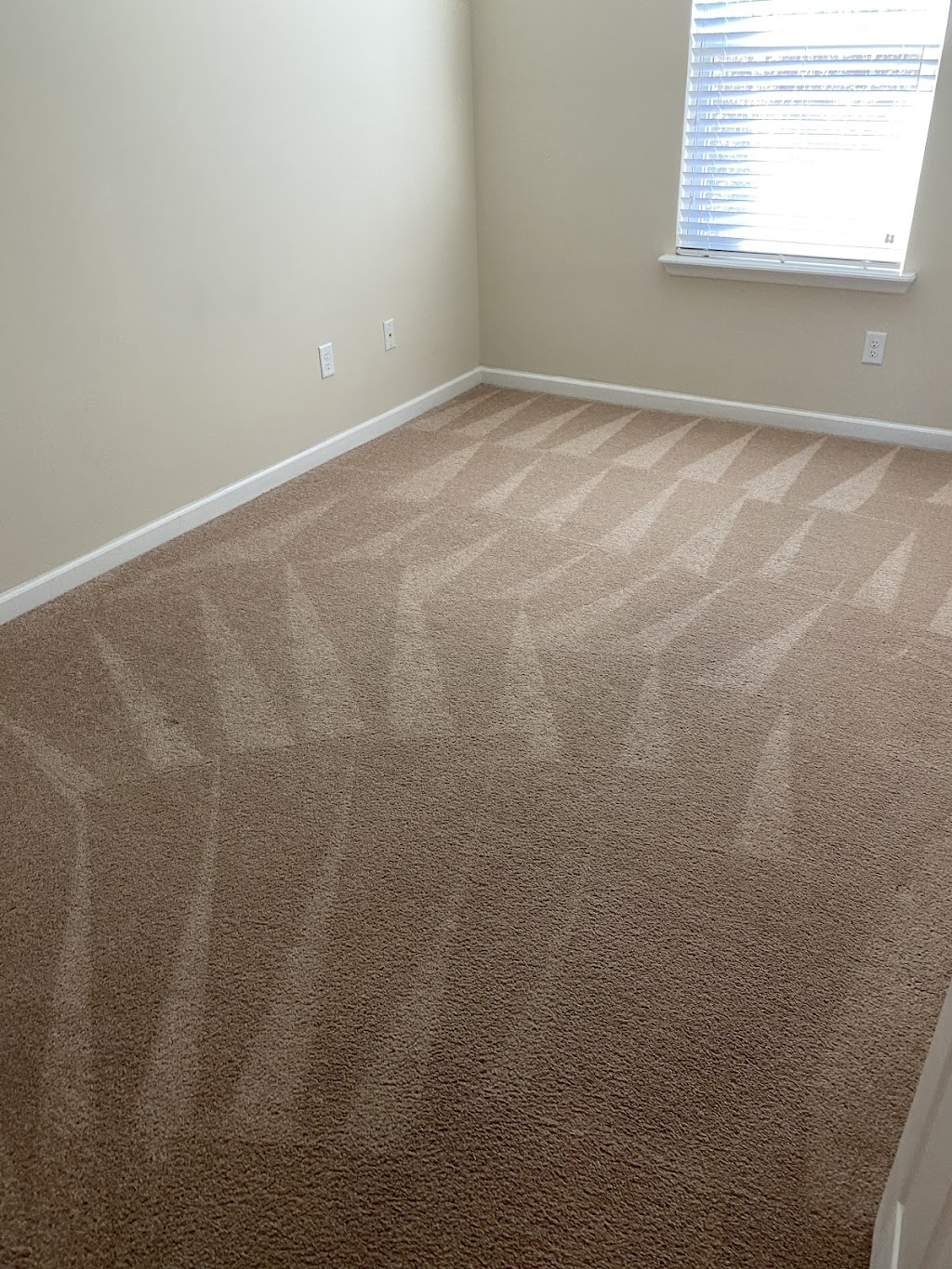 All Steam Carpet Cleaning | Honey Blossom Rd, Fruit Cove, FL 32259, USA | Phone: (904) 631-7080