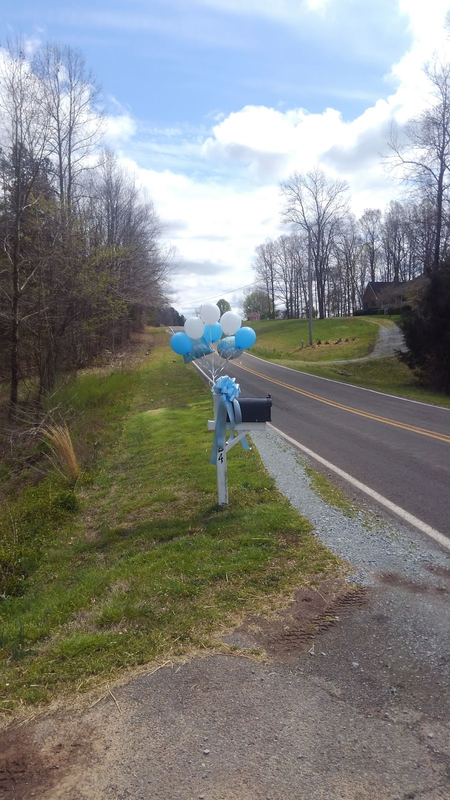 Rolling Hills Garden Center | 400 S Madison Blvd, Roxboro, NC 27573, USA | Phone: (336) 599-0385