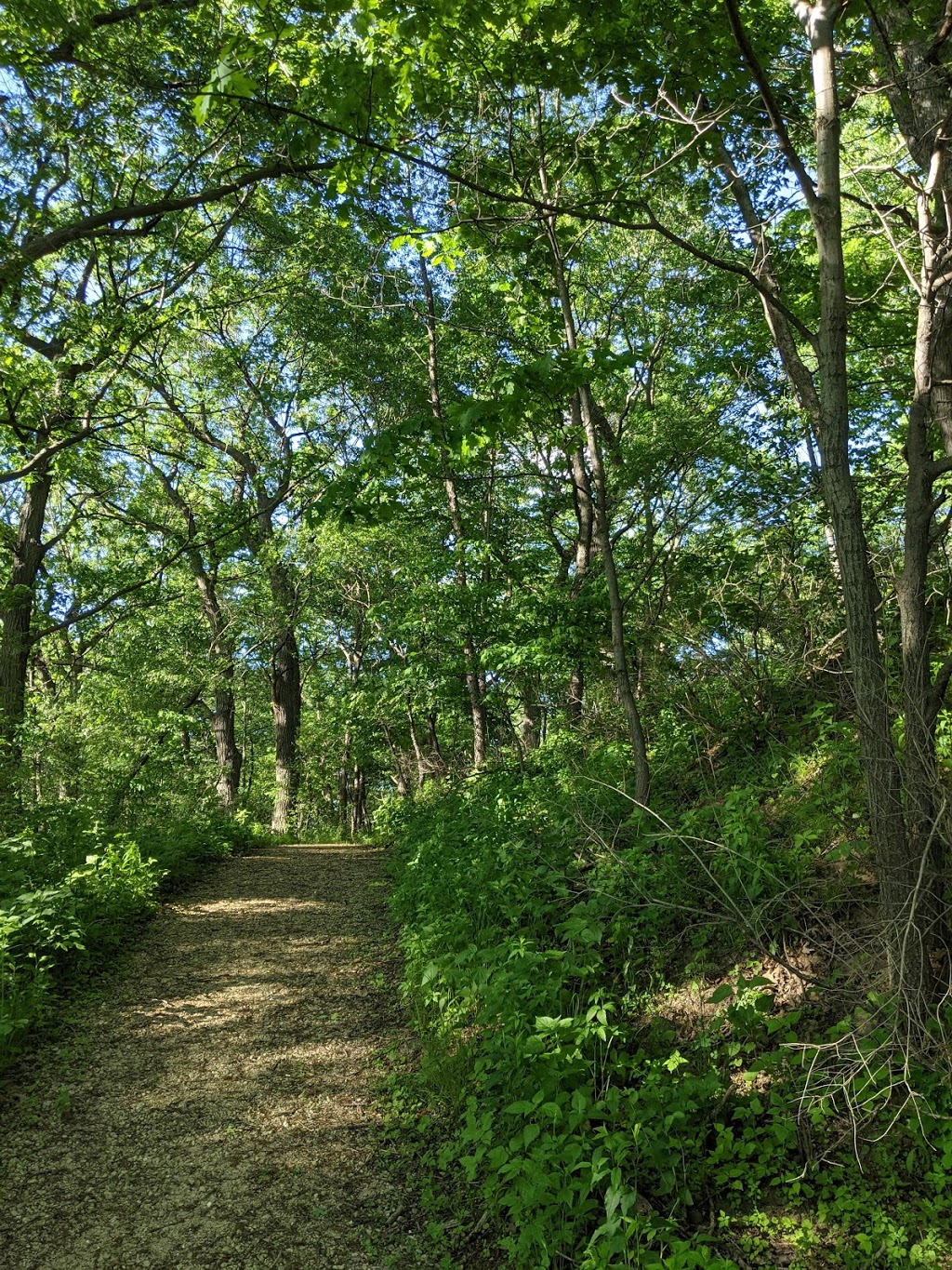 Meadow Ridge Conservation Park | 105 W Sauthoff Rd, Madison, WI 53704, USA | Phone: (608) 266-4711