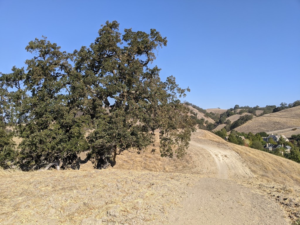 Las Trampas to Mt Diablo Regional Trail | 1099-1067 La Gonda Way, Danville, CA 94526, USA | Phone: (888) 327-2757