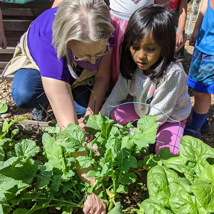 Anne Sullivan Preschool & Transitional Kindergarten | 21776 Palomar St, Wildomar, CA 92595, USA | Phone: (951) 678-3557