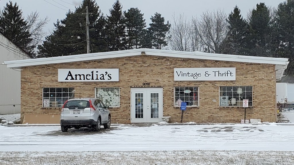 Amelias Vintage and Thrift | 9058 OH-14, Streetsboro, OH 44241, USA | Phone: (330) 474-7200