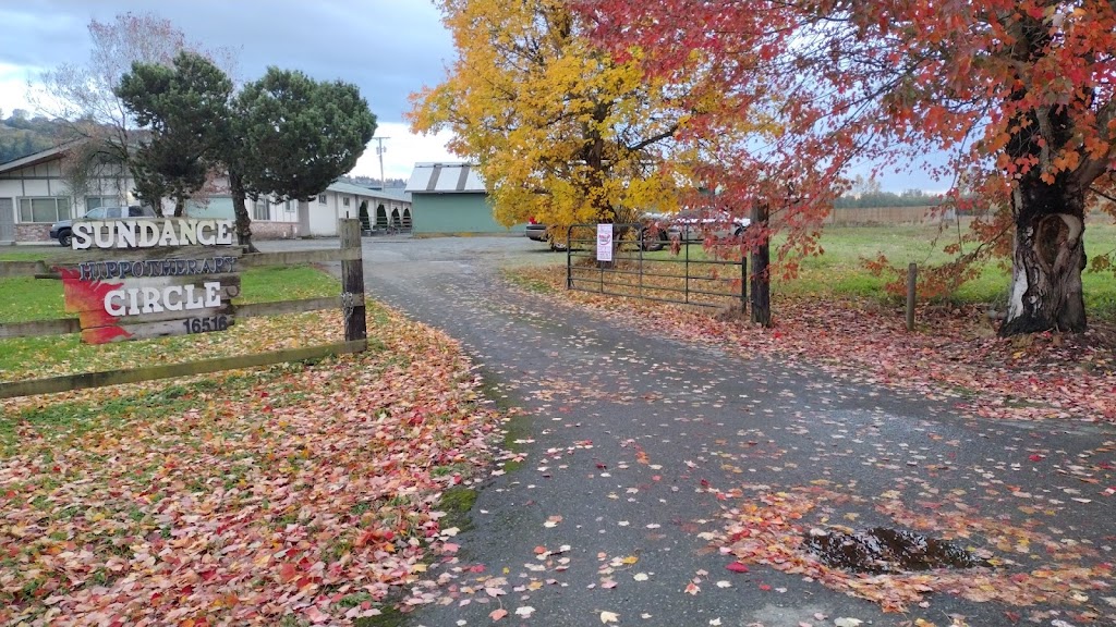 sundance circle hippotherapy | 16516 92nd St E, Sumner, WA 98390, USA | Phone: (253) 863-0654