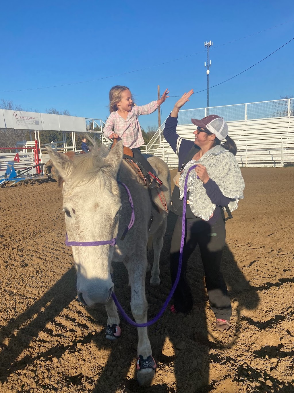 Sweetinfit Horsemanship | 8948 FM1827, Anna, TX 75409 | Phone: (214) 491-8635