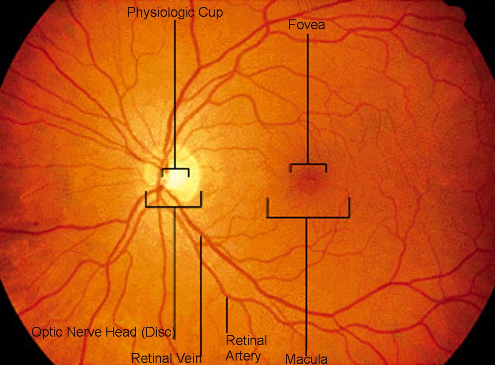 Master Eye Associates | 8880 TX-121 STE 141, McKinney, TX 75070, USA | Phone: (469) 854-6787