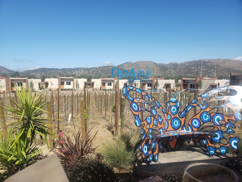 OJO AZUL, WINERY | 22984 Ensenada, Baja California, Mexico | Phone: 664 720 2940