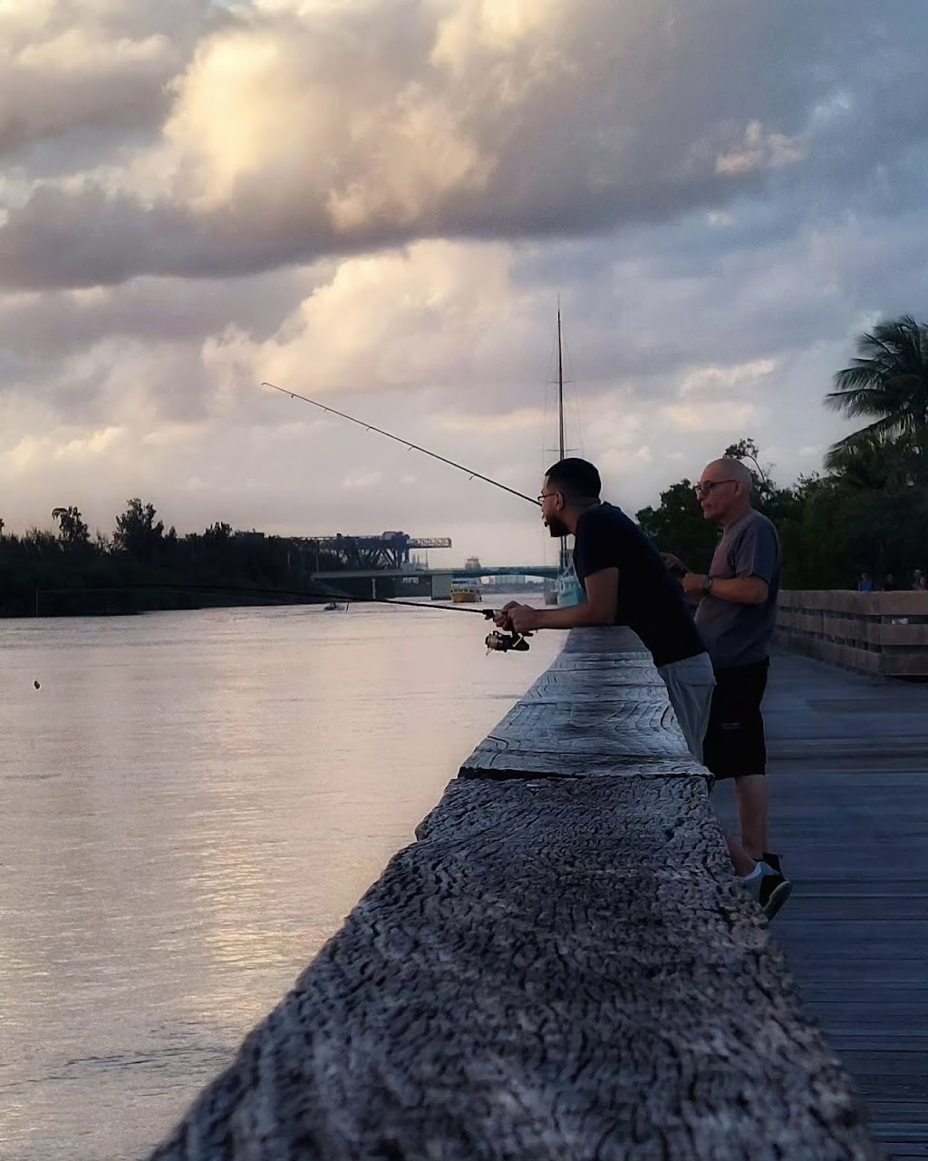 Hawksbill Pocket Park | 5200 N Ocean Dr, Hollywood, FL 33019, USA | Phone: (954) 357-5161