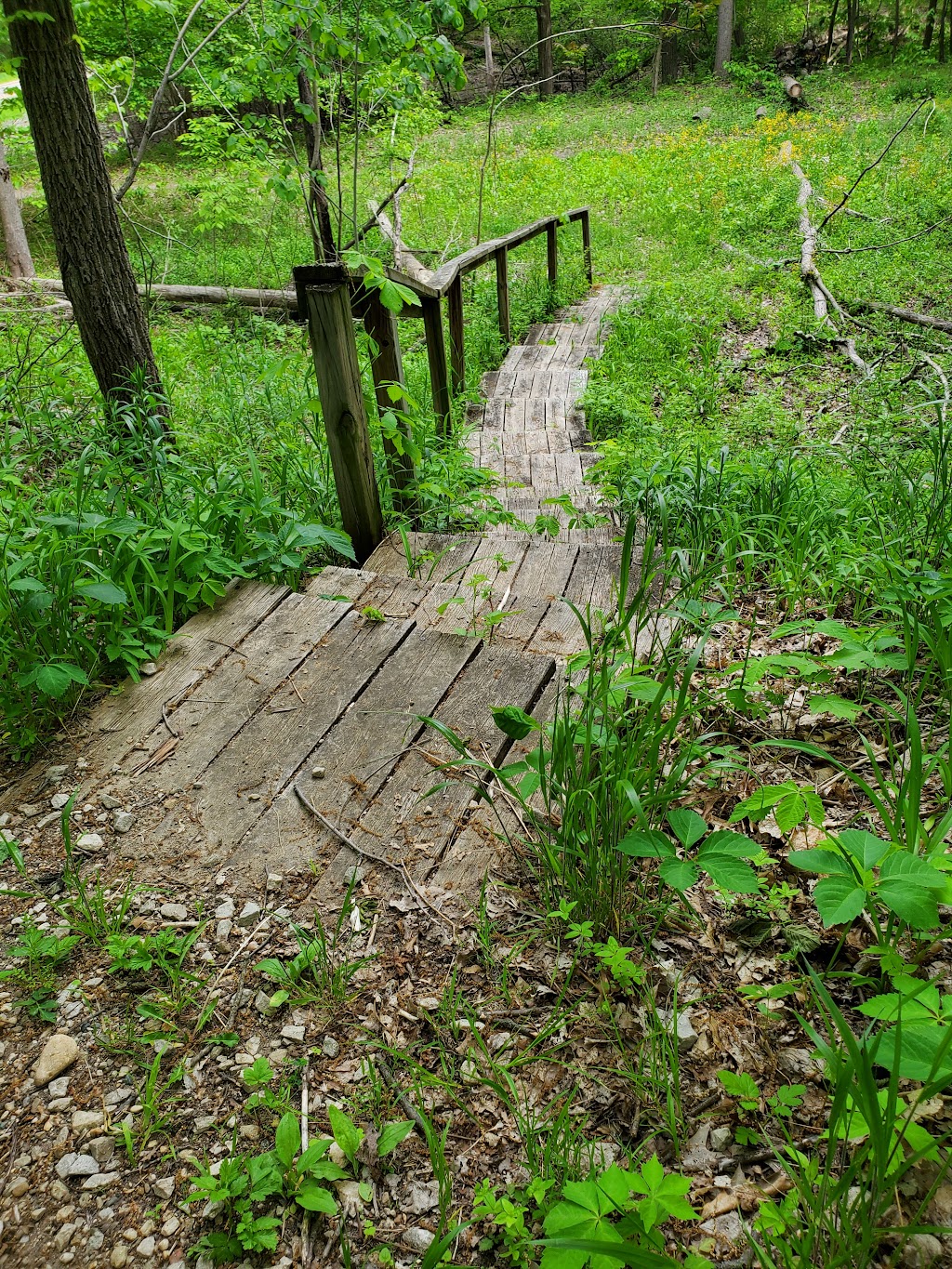 Hilltop Nature Area | 111 W Huron River Dr, Ann Arbor, MI 48103, USA | Phone: (734) 794-6230