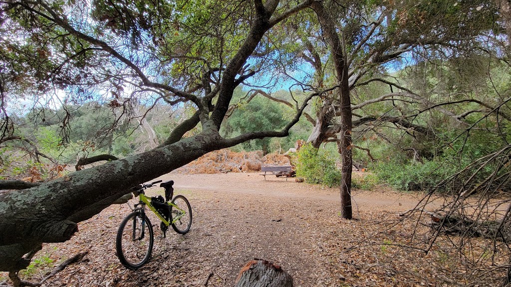 Aliso and Wood Canyons Wilderness Park | 28373 Alicia Pkwy, Aliso Viejo, CA 92656, USA | Phone: (949) 923-2200