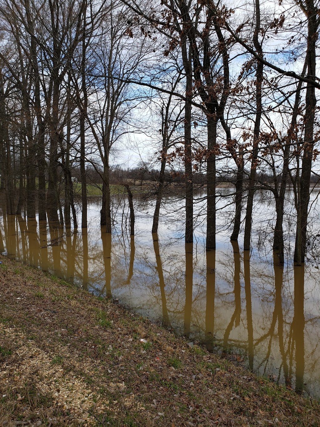 Lower Hatchie National Wildlife Refuge | 234 Fort Prudhomme Drive, Henning, TN 38041, USA | Phone: (731) 738-2296