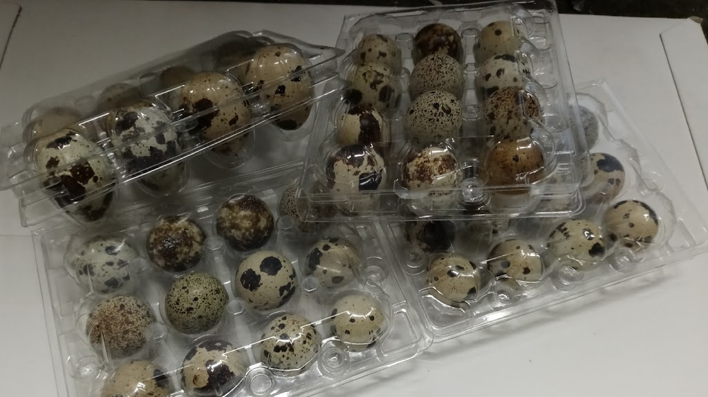 FB Quail and Koi Farm | 22713 Scotia Ln, Moreno Valley, CA 92557, USA | Phone: (951) 406-3884