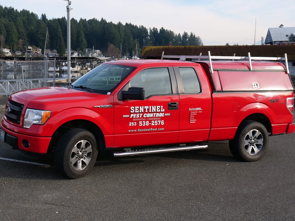 Sentinel Pest Control | 8412 Canyon Rd E, Puyallup, WA 98371, USA | Phone: (253) 538-2576