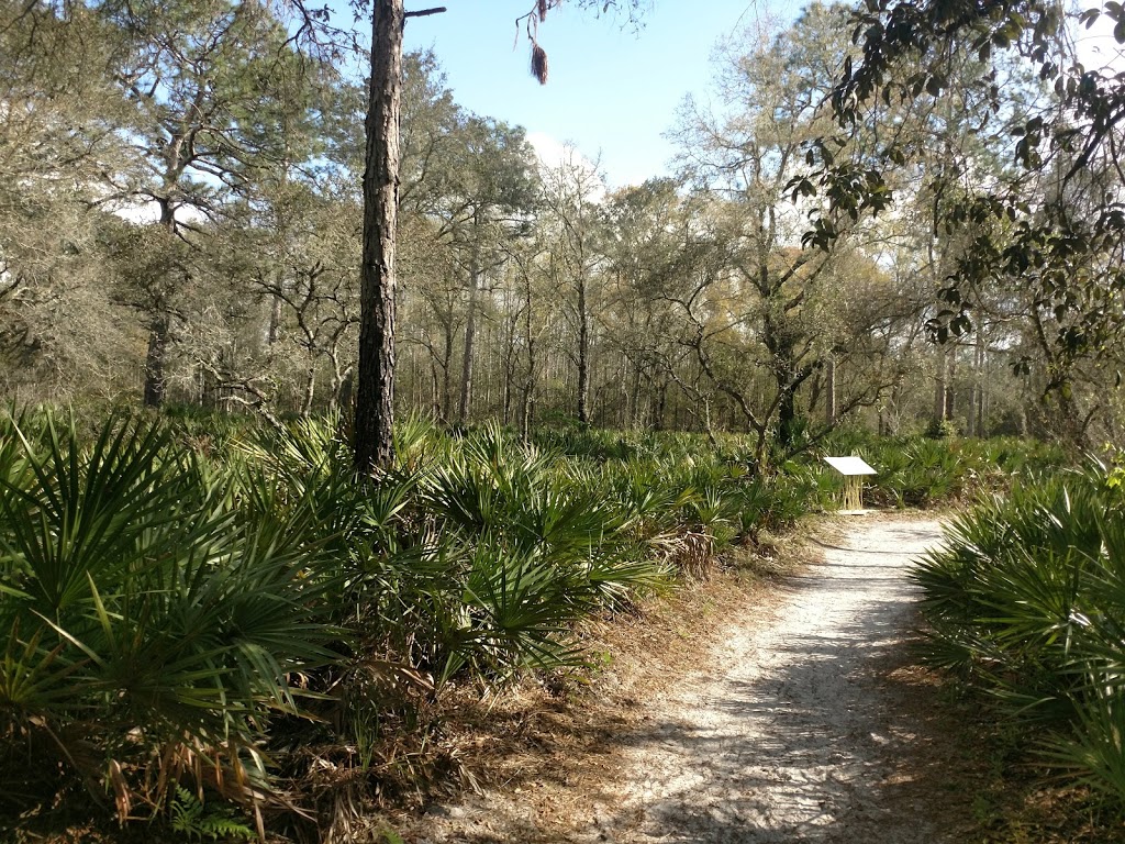 Brooker Creek Preserve & Environmental Education Center | 3940 Keystone Rd, Tarpon Springs, FL 34688, USA | Phone: (727) 453-6800