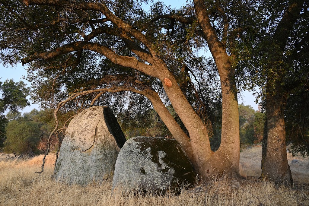 Twin Rocks Estate Winery | 6635 Cavitt Stallman Rd, Granite Bay, CA 95746, USA | Phone: (916) 587-0618