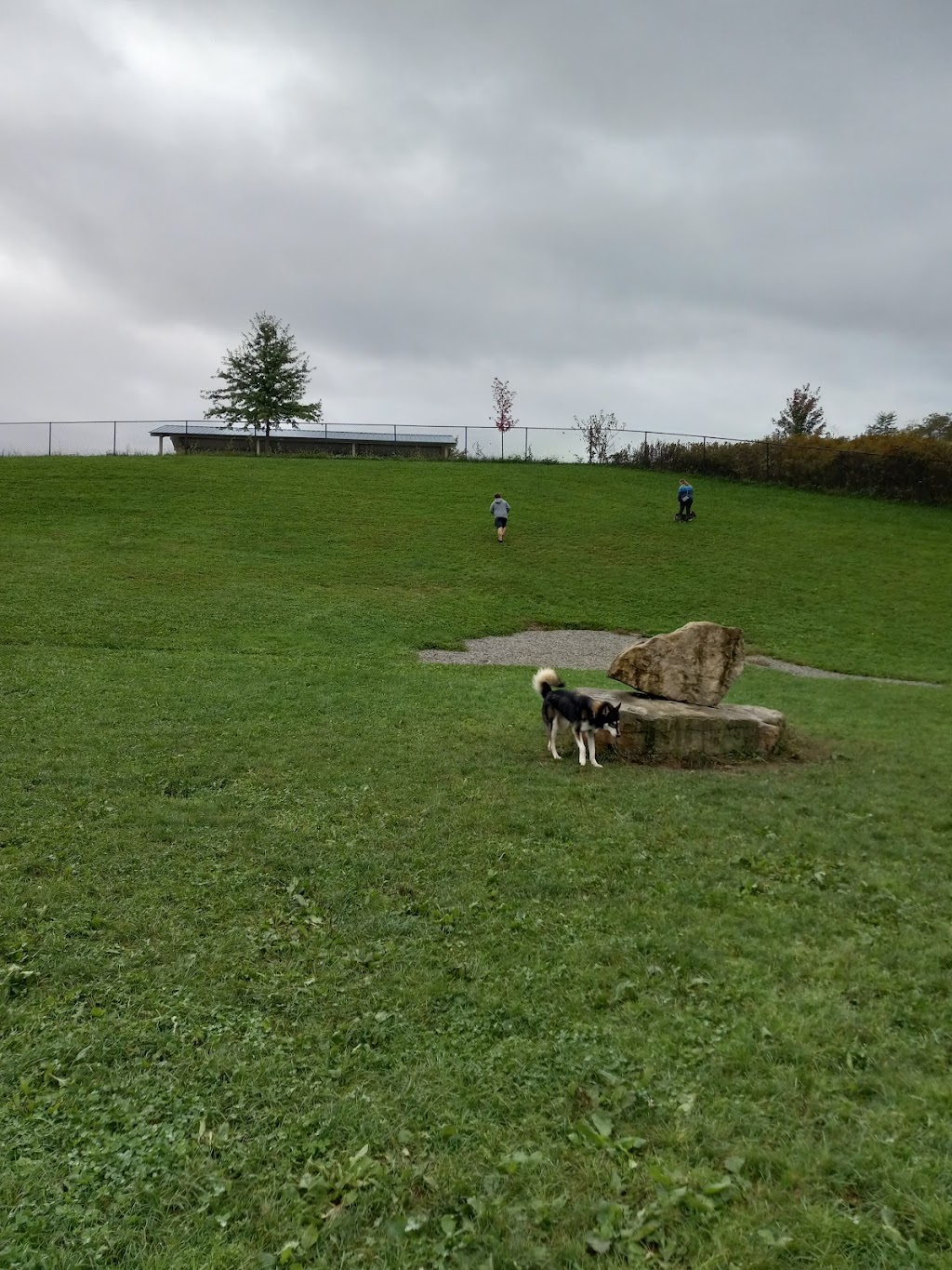 Franklin Dog Park at Twin Lakes | State Rte 1053, Greensburg, PA 15601, USA | Phone: (724) 830-3950