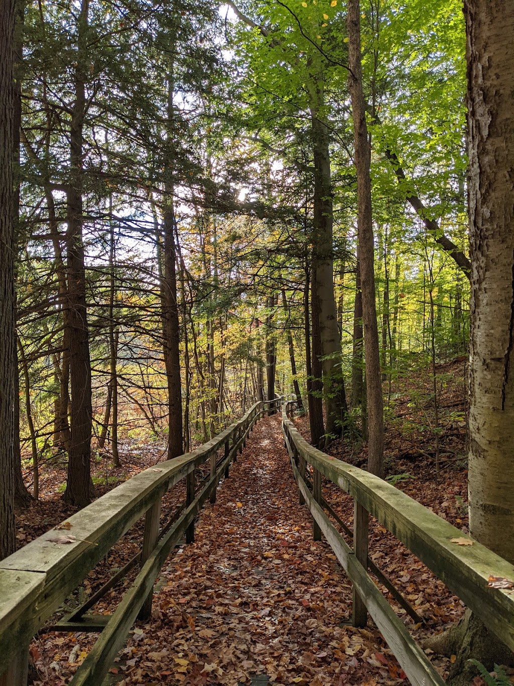 Beaver Meadow Nature Center / Buffalo Audubon Society | 1610 Welch Rd, North Java, NY 14113, USA | Phone: (585) 457-3228