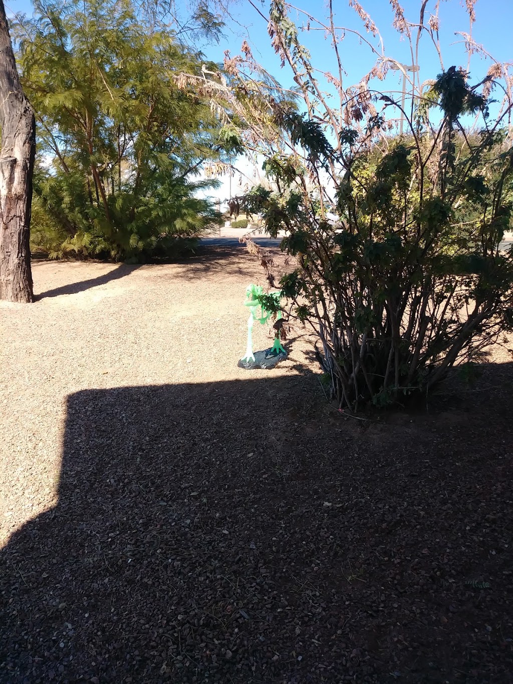 Gladden Farms Community Park | 12205 N Tangerine Farms Rd, Marana, AZ 85653, USA | Phone: (520) 382-1950