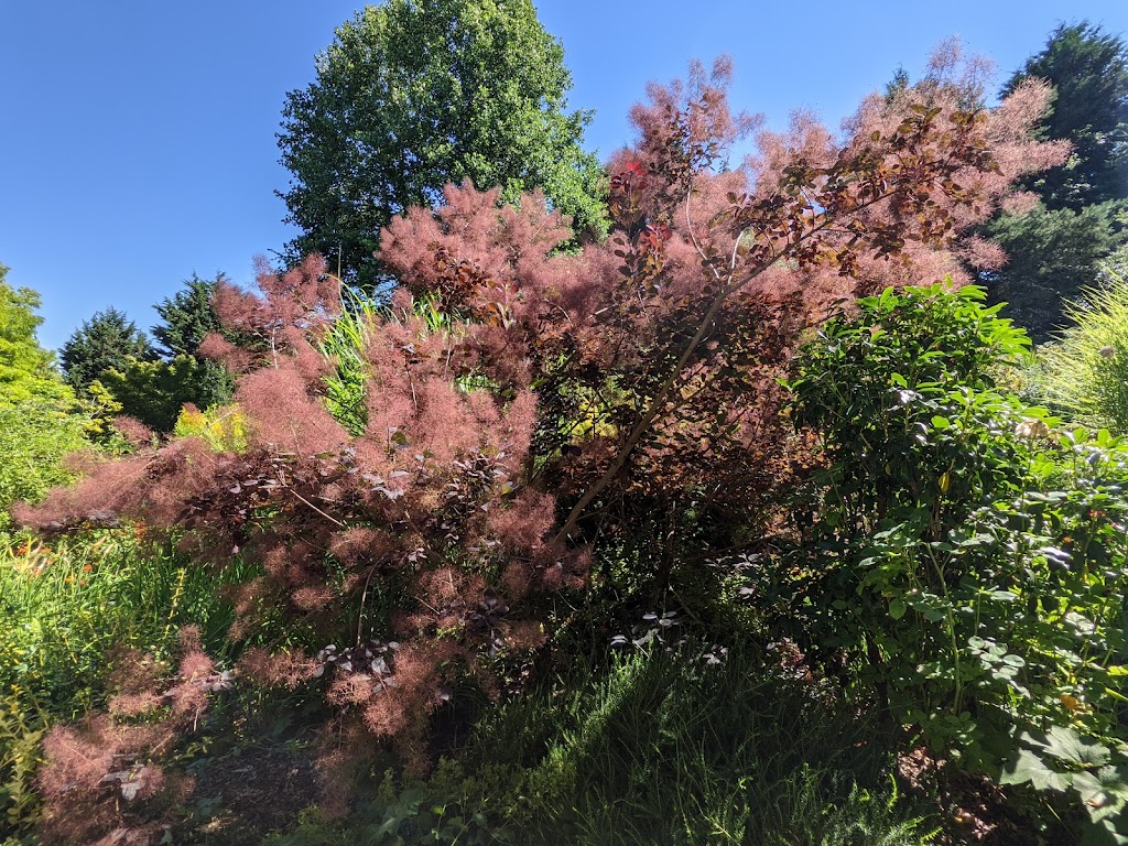 Soos Creek Botanical Garden & Heritage Center | 29308 132nd Ave SE, Auburn, WA 98092, USA | Phone: (253) 639-0949