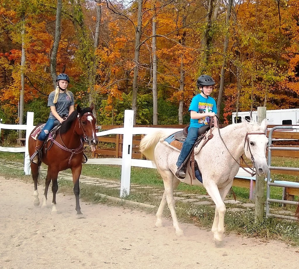 Heavenward Farm and Horsemanship | 7084 Ludlum Rd, Morrow, OH 45152, USA | Phone: (513) 899-4347