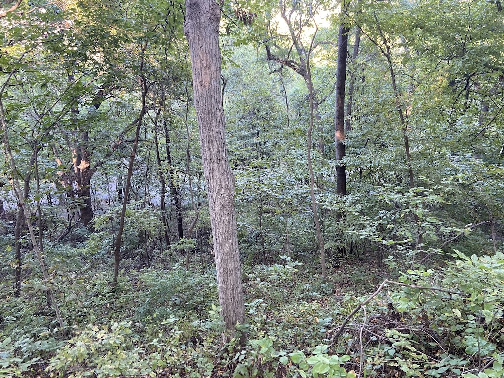 Isley Park Woods Natural Area | Lovers Ln, Excelsior Springs, MO 64024, USA | Phone: (816) 630-1040