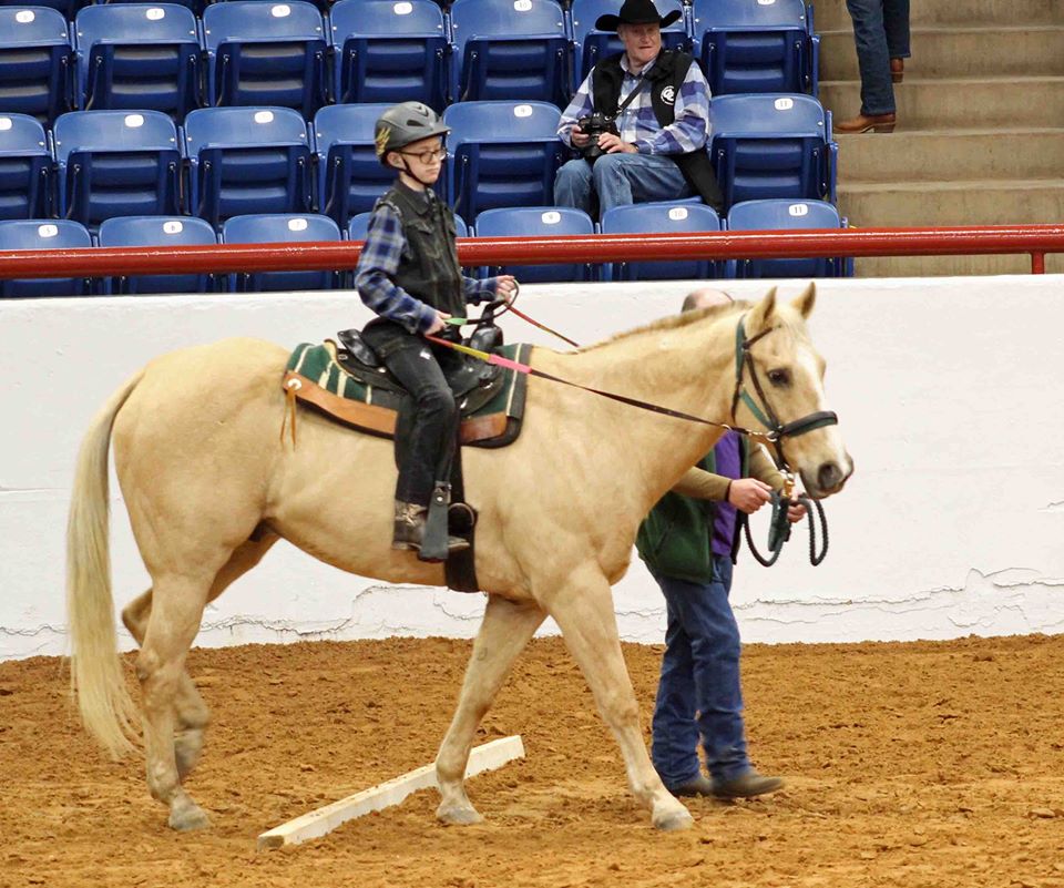 Wings of Hope Equitherapy | 4200 County Rd 806, Cleburne, TX 76031 | Phone: (817) 783-3805