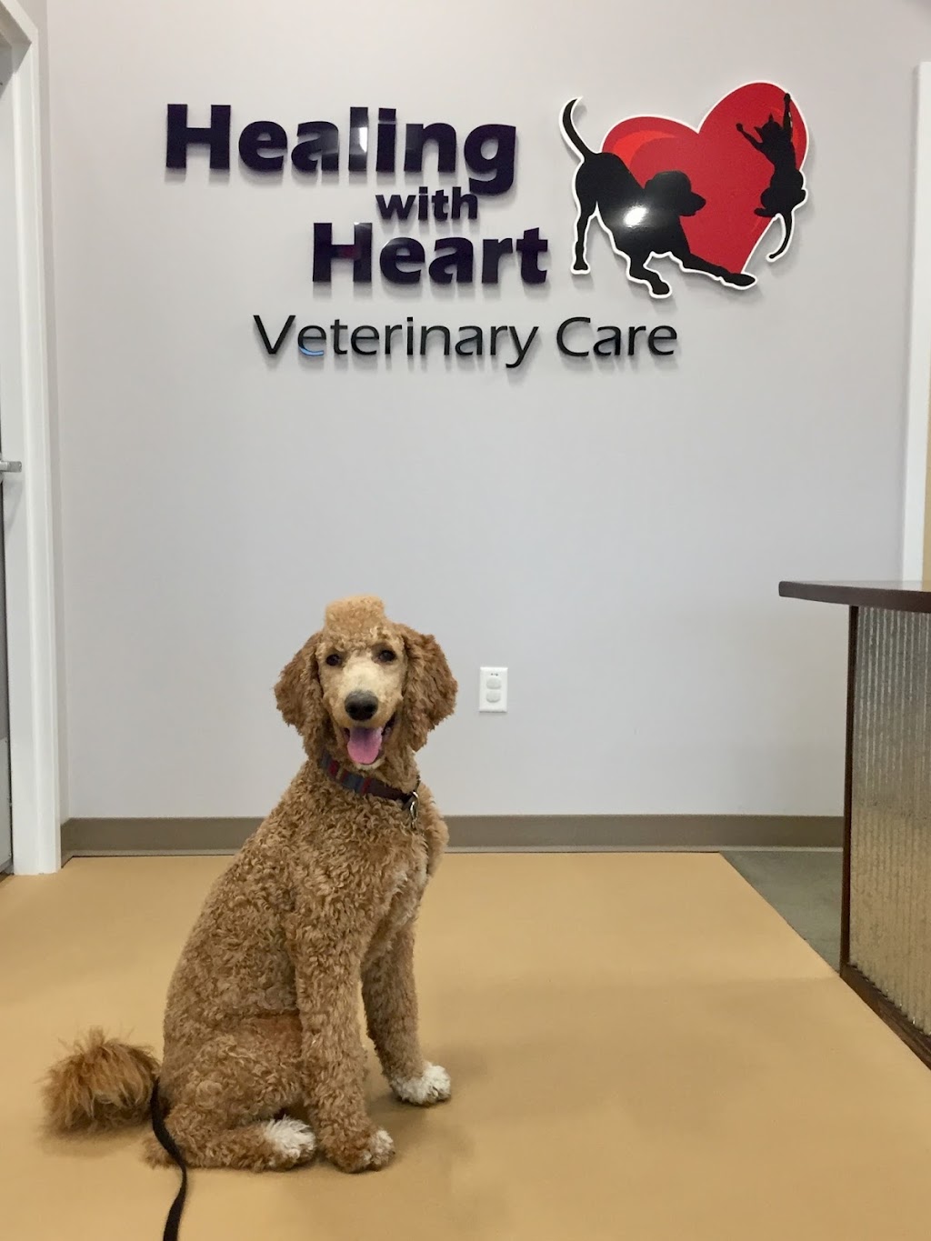 Healing With Heart Veterinary Care | 2111 Princess Anne Rd #101, Virginia Beach, VA 23456, USA | Phone: (757) 689-0246