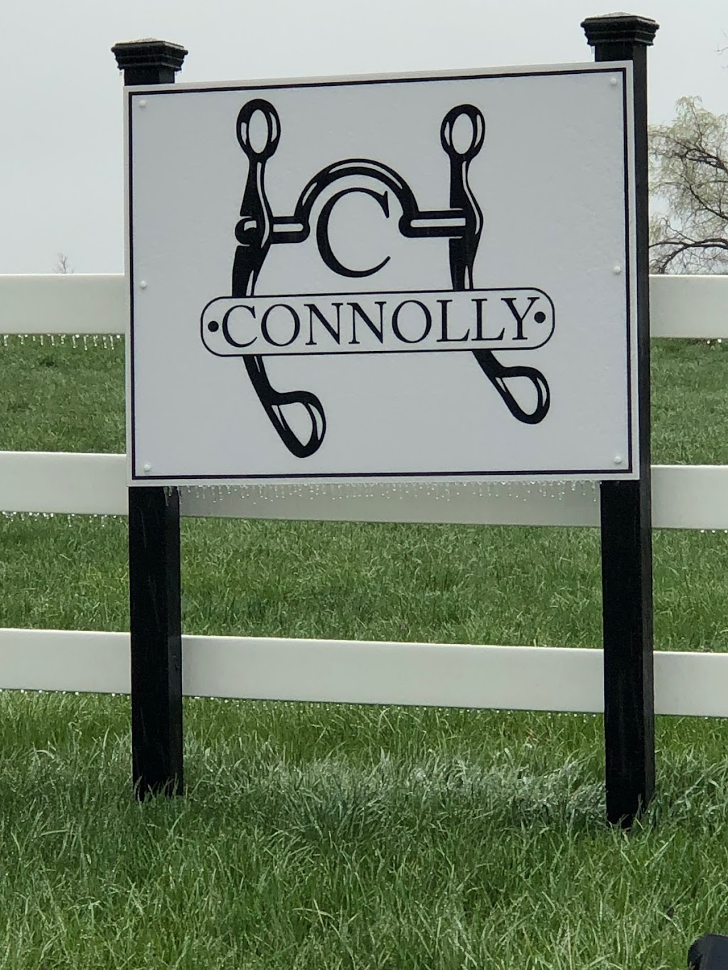 Connolly Equine | 13762 174th St, Linwood, KS 66052, USA | Phone: (785) 313-0396