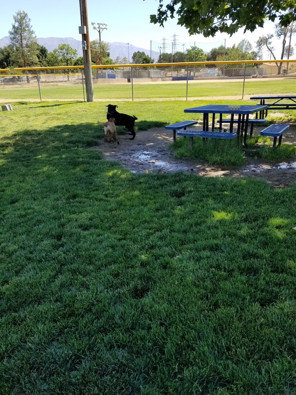 Noble Dog Park | 390 Oak Valley Pkwy, Beaumont, CA 92223 | Phone: (909) 915-0631