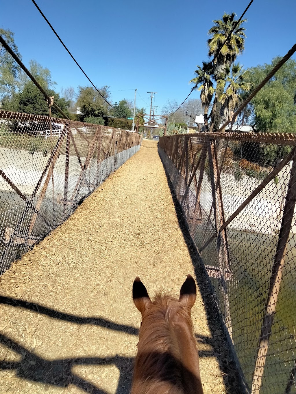 Griffith Park Horse Rentals | 1820 Riverside Dr, Glendale, CA 91201, USA | Phone: (818) 840-8401