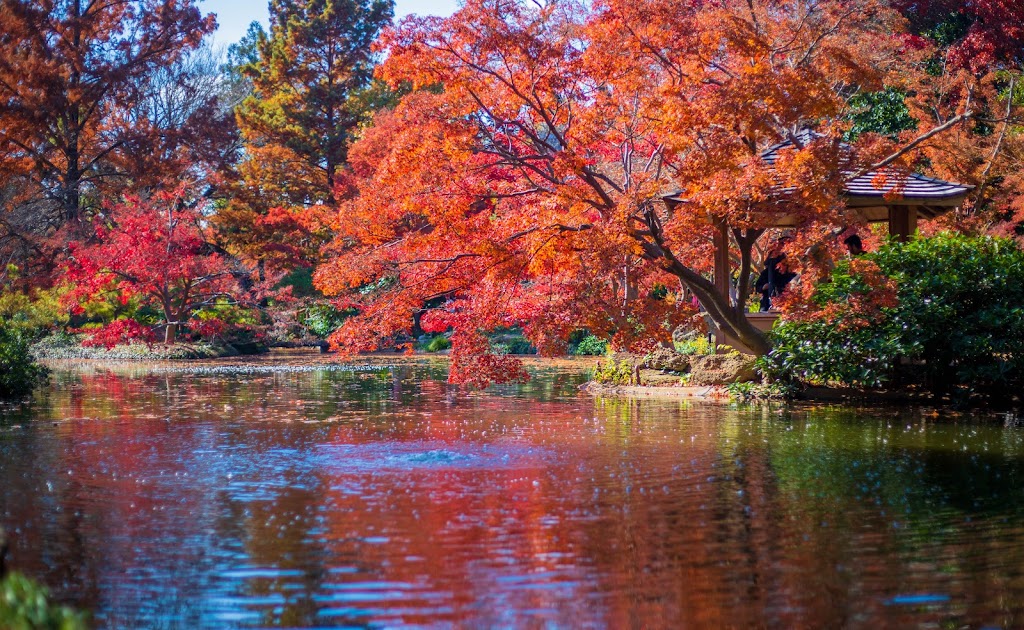 Japanese Garden | 3220 Botanic Garden Blvd, Fort Worth, TX 76107, USA | Phone: (817) 463-4160