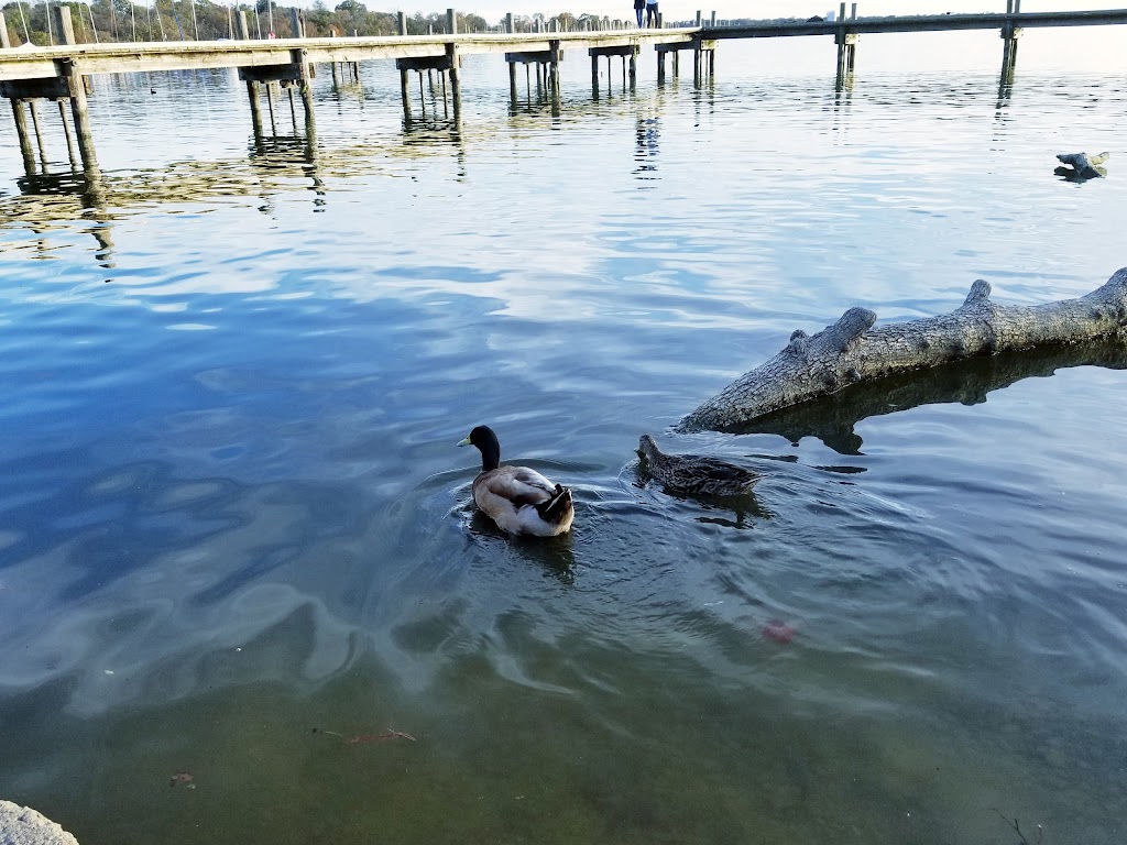 White Rock Lake Parking | Parking lot, White Rock Lake Trail, Dallas, TX 75214, USA | Phone: (214) 670-8740