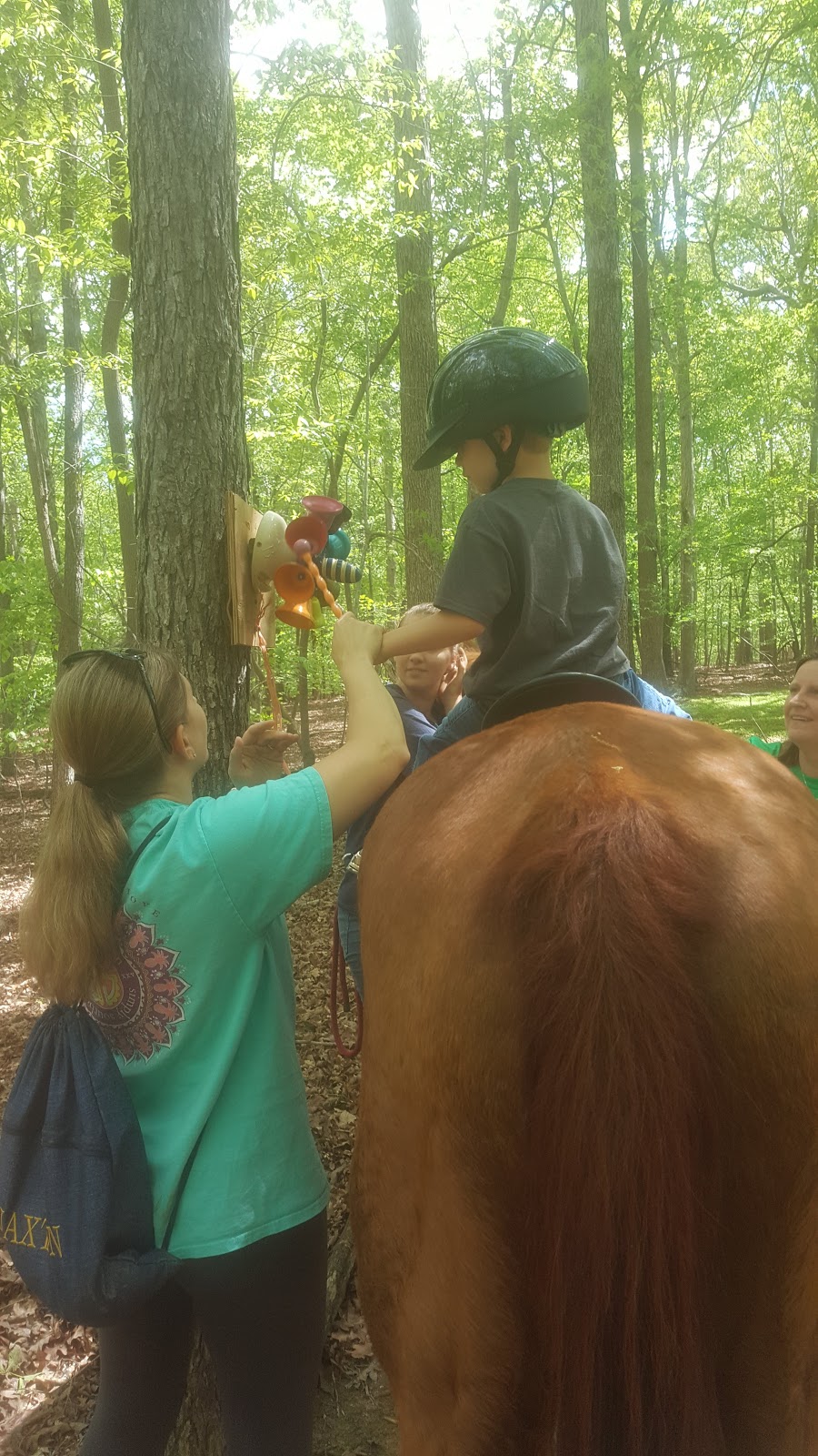 Helping Horse Therapeutic Riding | 5104 Riley Hill Rd, Wendell, NC 27591, USA | Phone: (919) 816-2103