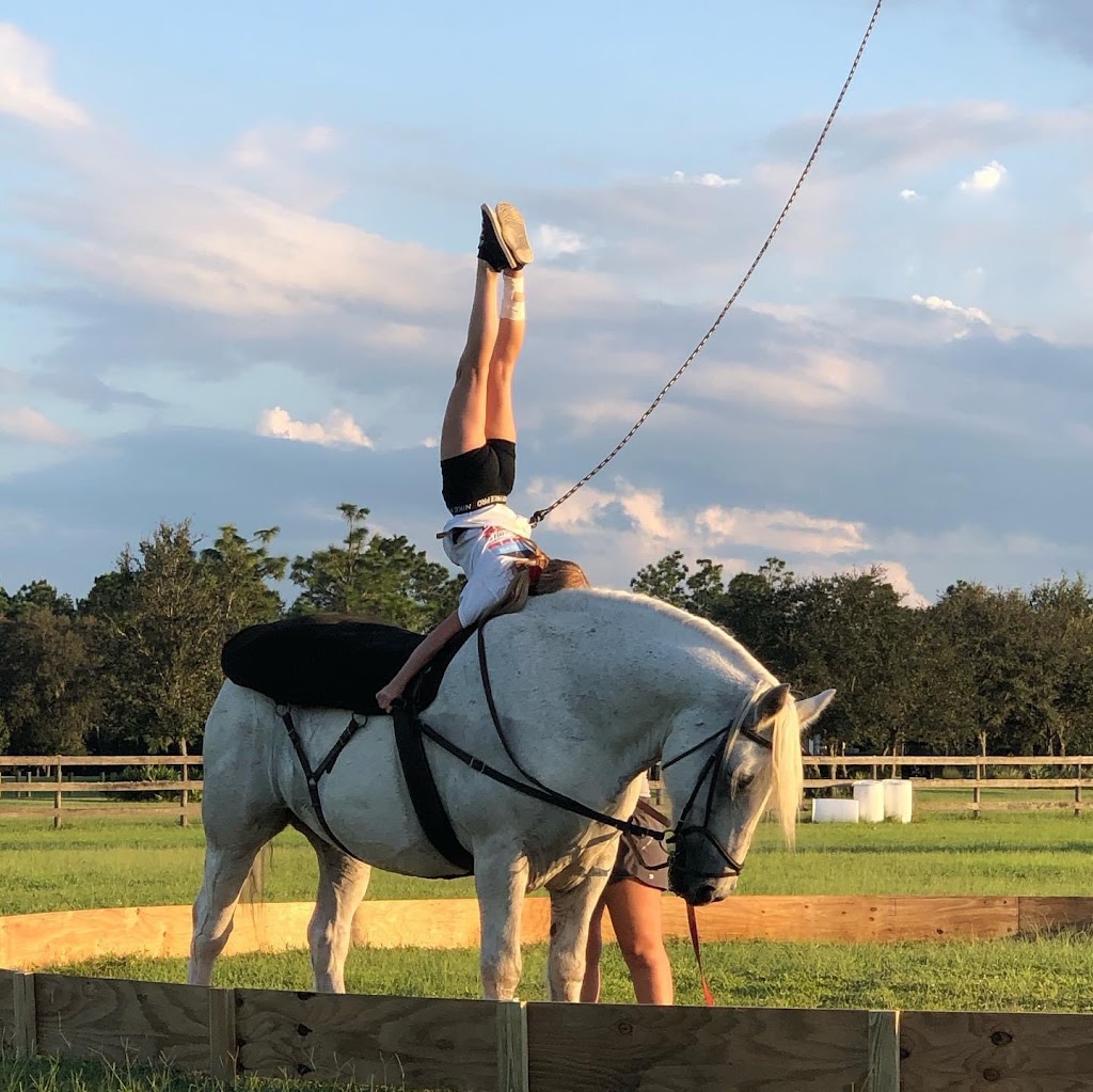 Circus On The Ranch | 9855 Wauchula Rd, Myakka City, FL 34251, USA | Phone: (775) 223-9103