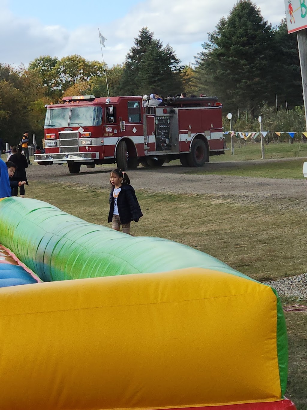 Wiards Night Terrors: Haunted Thrill Park | 5565 Merritt Rd, Ypsilanti Charter Twp, MI 48197, USA | Phone: (734) 390-9211