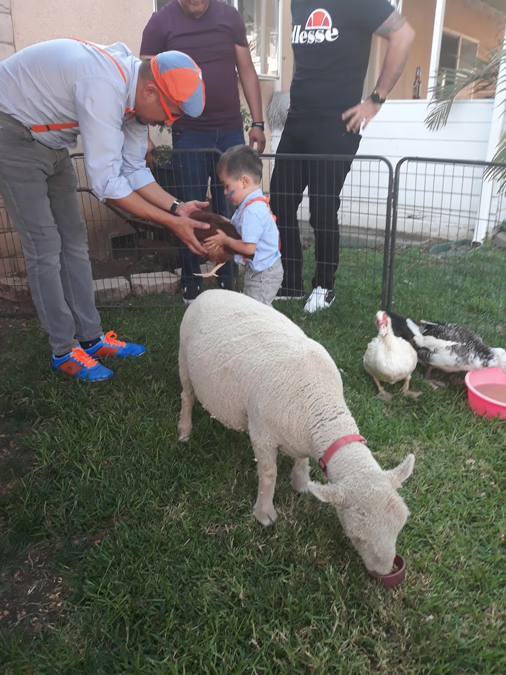 Alice | 1623 N Hall St STE 103, Dallas, TX 75204, USA | Phone: (469) 872-0001