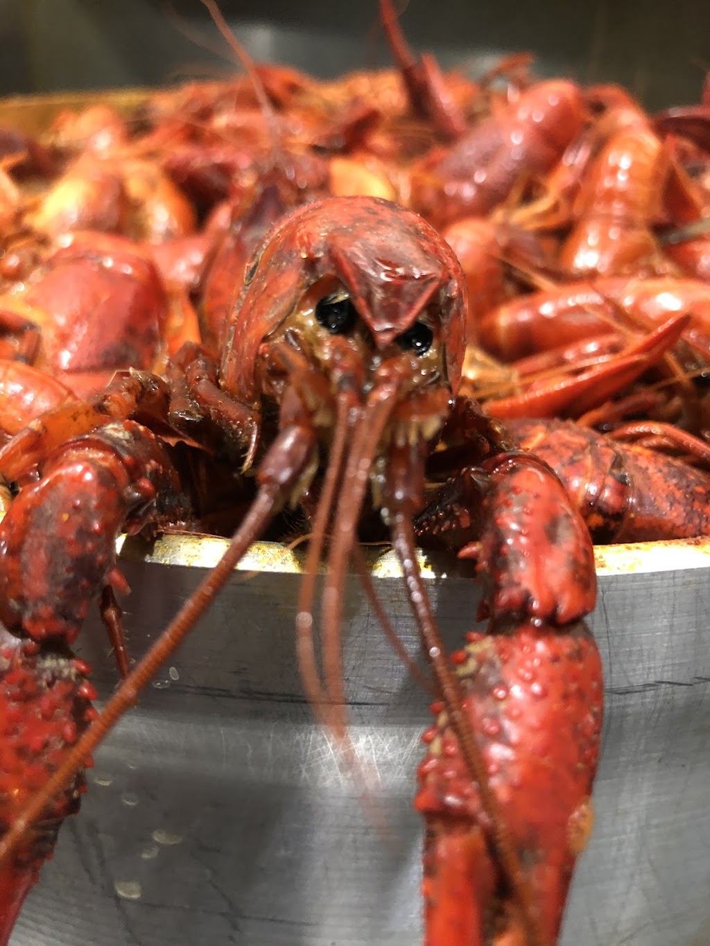 C and C Food For Your Soul | 1926 W Main St, Belleville, IL 62226, USA | Phone: (618) 416-0837