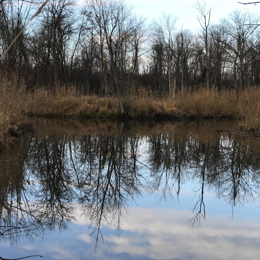 Detroit River International Wildlife Refuge Office | 5437 W Jefferson Ave, Trenton, MI 48183, USA | Phone: (734) 692-7608