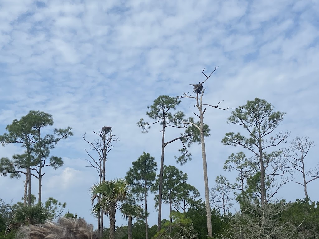 Airboat Rides Near Me/Crazy Fish Airboat Tours | 4852 Ocean St, Atlantic Beach, FL 32233, USA | Phone: (904) 495-4200