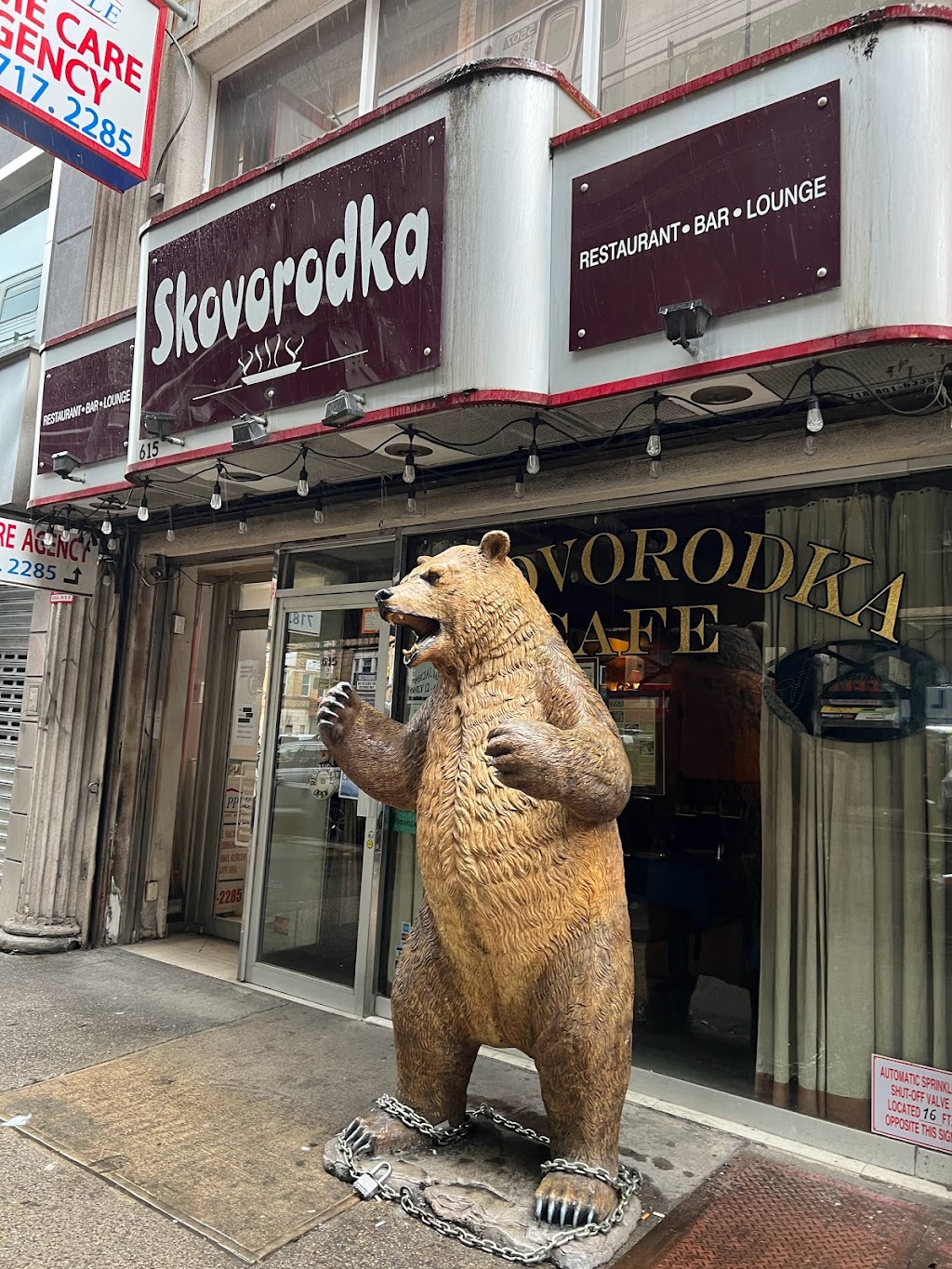 Skovorodka | 615 Brighton Beach Ave, Brooklyn, NY 11235, USA | Phone: (718) 615-3096