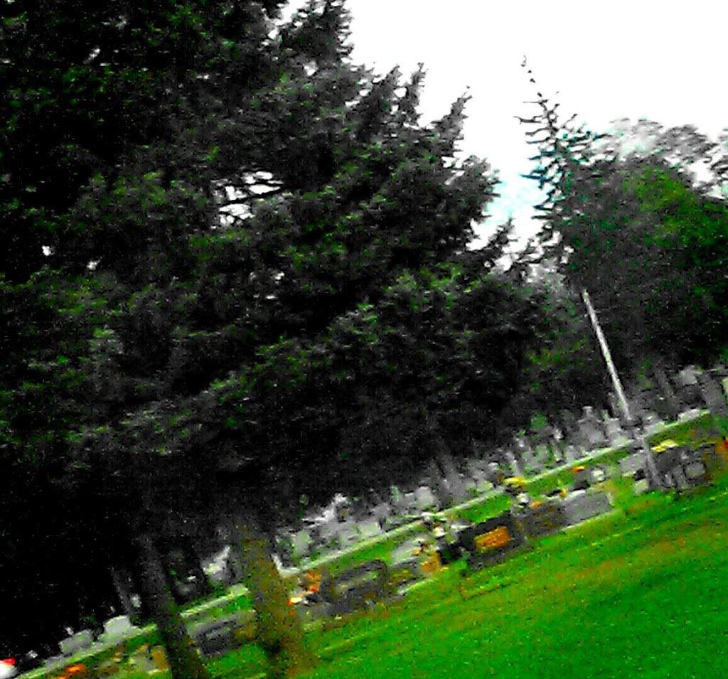 Spring Lawn Cemetery | 6954 Cedar Springs Rd, New Paris, OH 45347, USA | Phone: (937) 437-0213