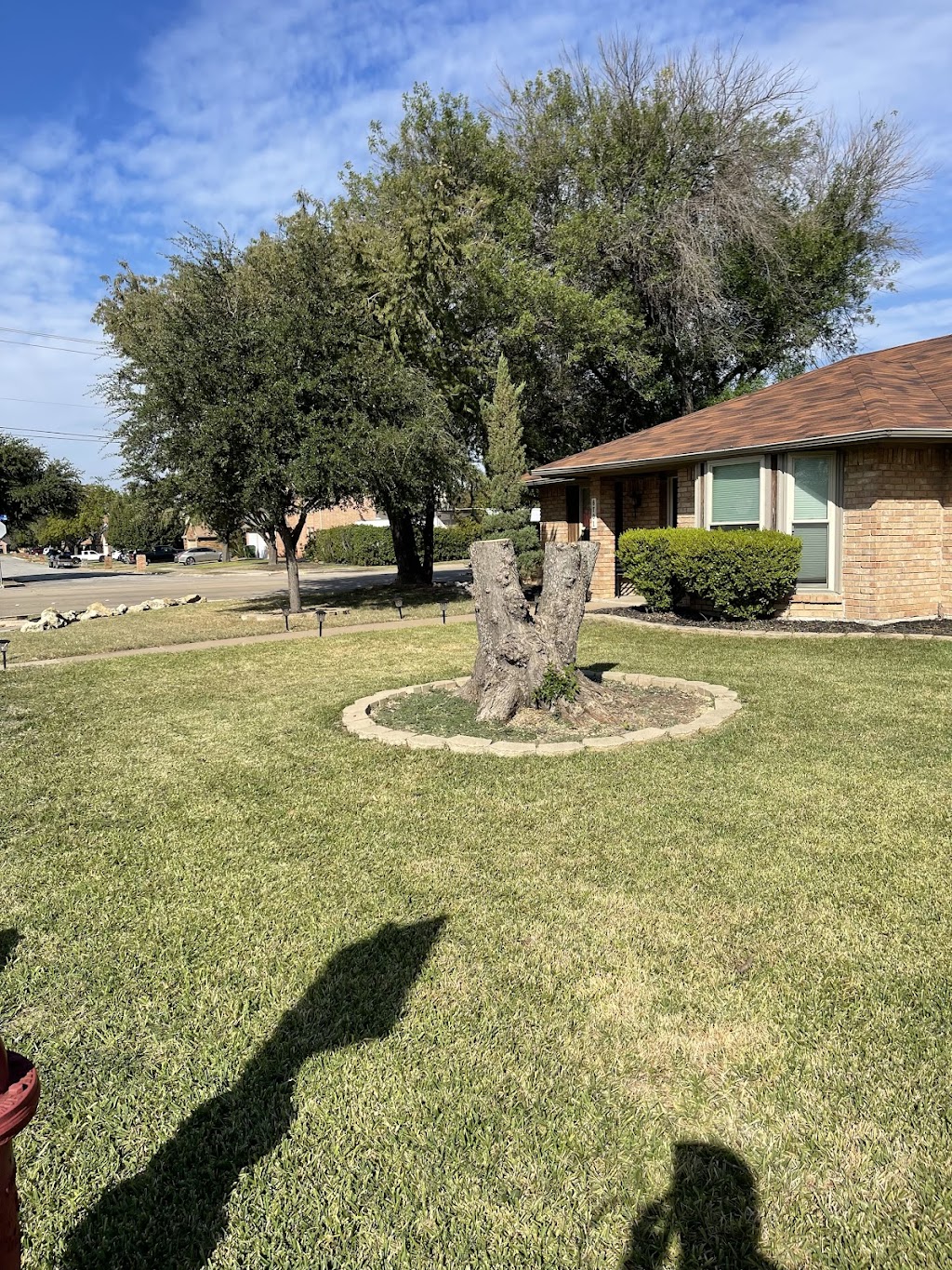 Lawn & Tree service Juan Ramirez | 2716 Halbert St, Fort Worth, TX 76112 | Phone: (817) 968-8365