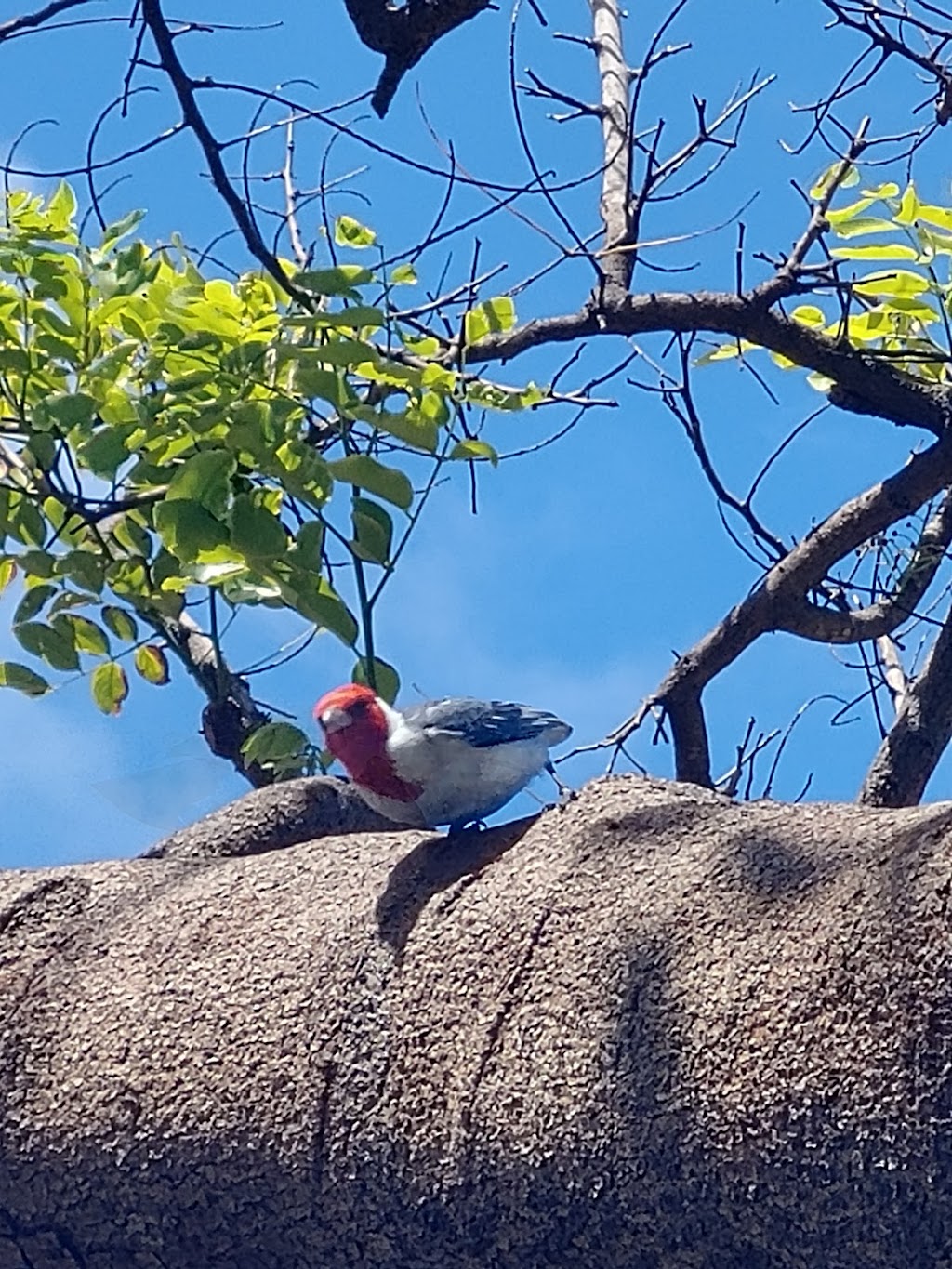 Kaelepulu Park | 207 Awakea Rd, Kailua, HI 96734, USA | Phone: (808) 768-3003