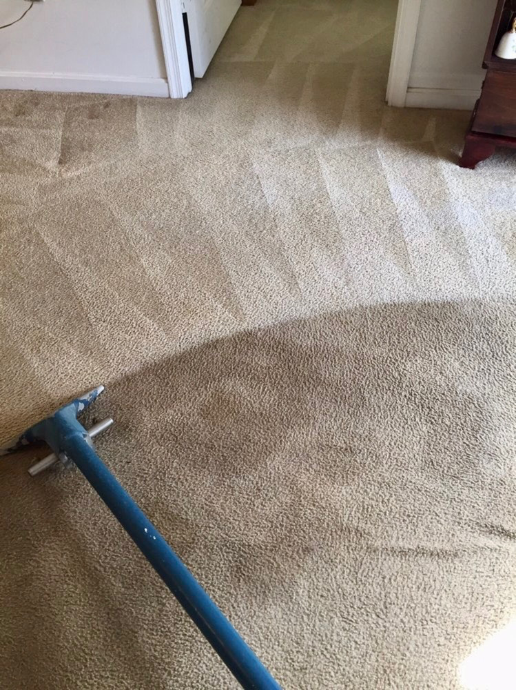 Steves Carpet & Upholstery Cleaning Experts | 3130 Kathleen Rd, Lakeland, FL 33810, USA | Phone: (863) 563-1239