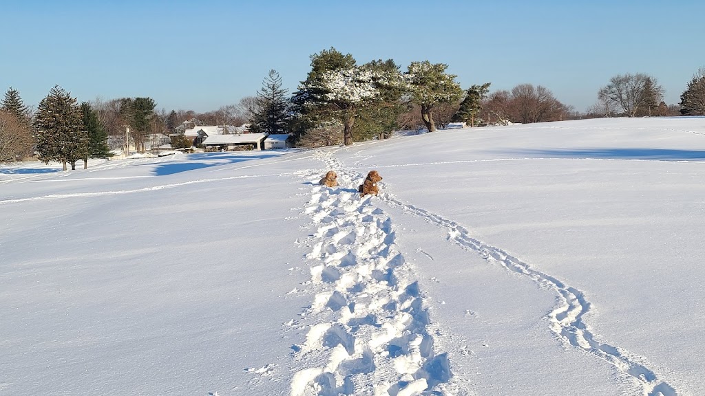 Unicorn Golf Course | 460 William St, Stoneham, MA 02180, USA | Phone: (781) 438-9732