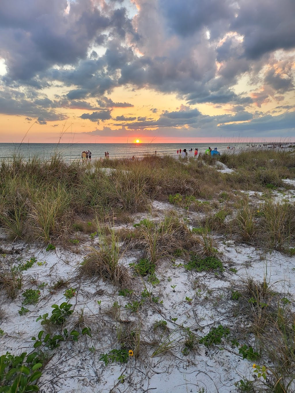 Postcard Inn Beach Bar & Snack Shack | 6300 Gulf Blvd, St Pete Beach, FL 33706, USA | Phone: (727) 367-2711