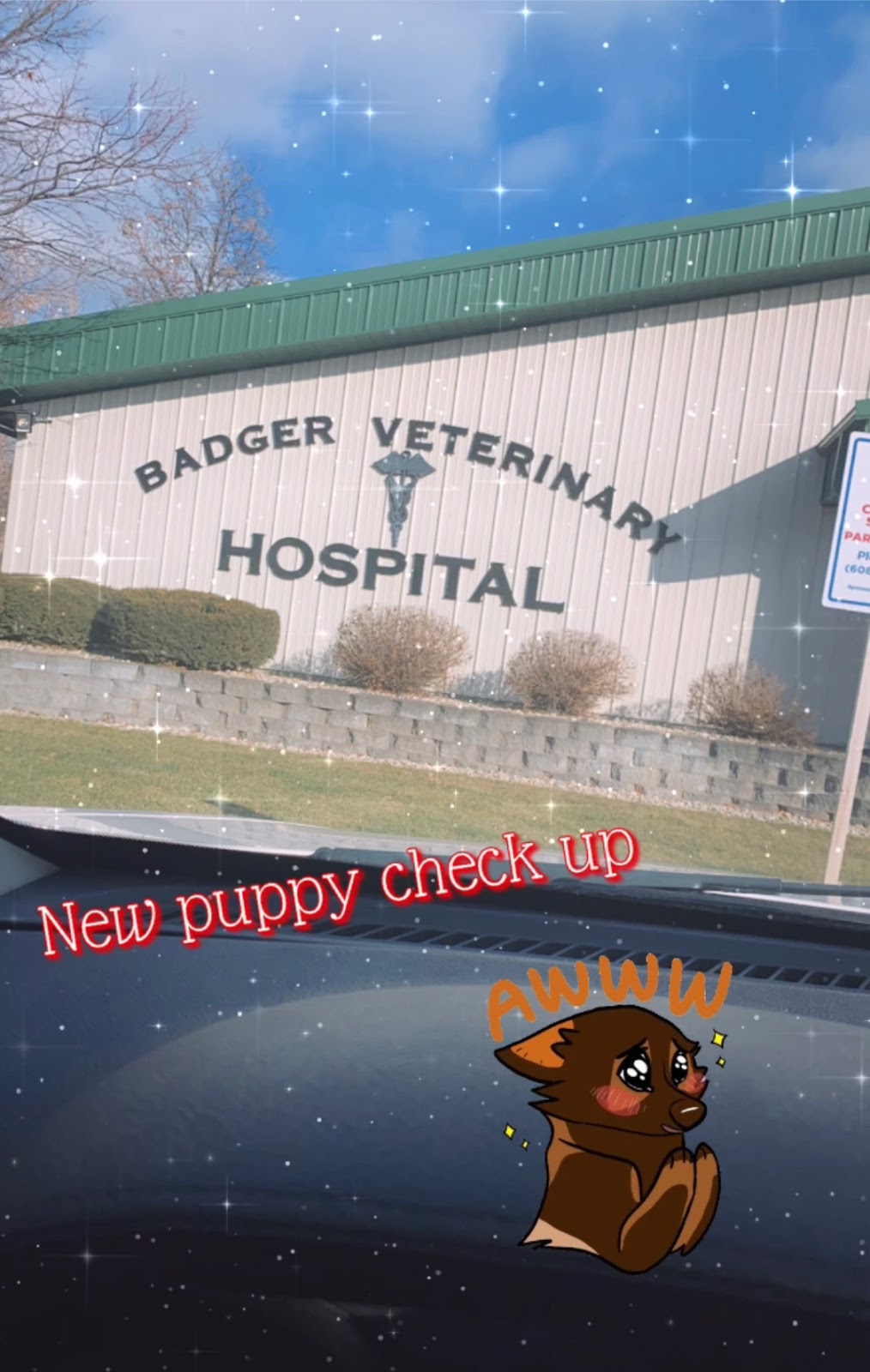 Badger Veterinary Hospital: Cross Katie DVM | 3113 E McCormick Dr, Janesville, WI 53546, USA | Phone: (608) 754-1888