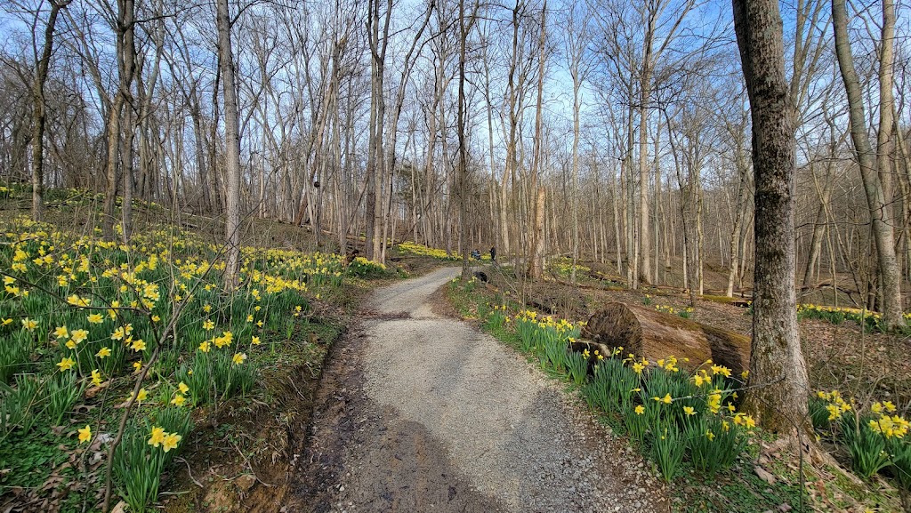 Cincinnati Nature Center | 4949 Tealtown Rd, Milford, OH 45150, USA | Phone: (513) 831-1711