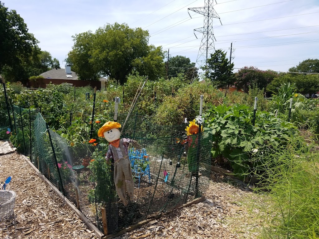 Project Eden Community Garden | Owens Blvd, Richardson, TX 75081, USA | Phone: (972) 231-8231