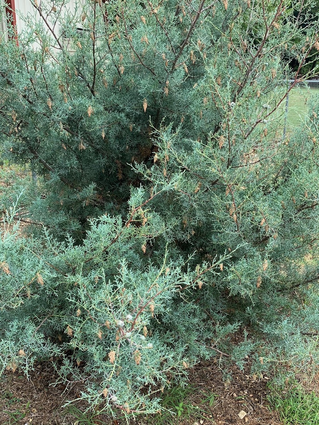 Sureguard Termite & Pest Services | 3261 FM 663 Suite D, Midlothian, TX 76065, USA | Phone: (972) 406-8600