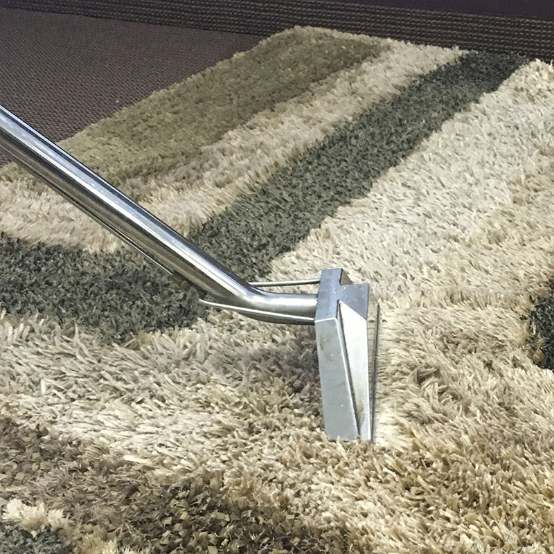 Carpet Cleaning Farmers Branch TX | 2771 Valwood Pkwy, Farmers Branch, TX 75234, USA | Phone: (469) 278-5697